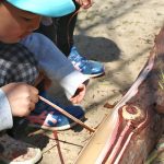 木の素材を感じる 自然素材