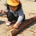 木の素材を感じる 自然素材