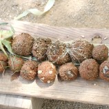 泥だんご 自然素材 土