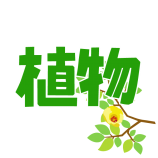 植物-子どもが教えてくれる自然素材の魅力