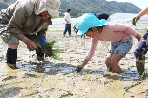 田植え体験-食育