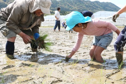 田植え体験-食育